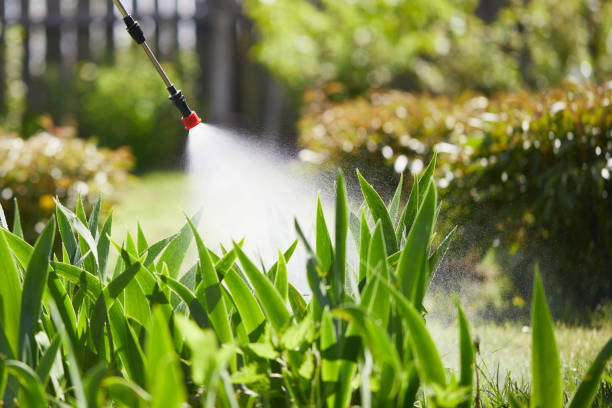 24/7 Emergency Cockroach Control experts in Banner Hill, TN