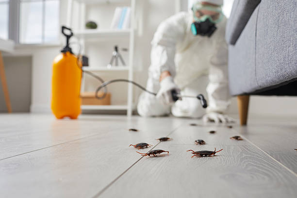 Trusted Rodent Control service in Banner Hill, TN - Nex Pest Control