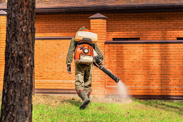 Trusted Ant Control service in Banner Hill, TN - Nex Pest Control